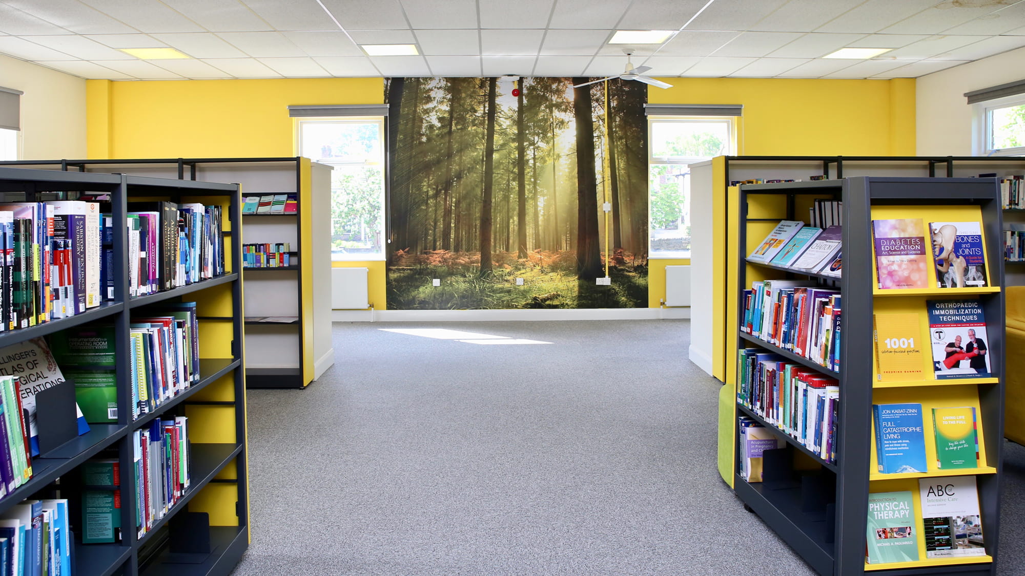 Bright Spacious Library